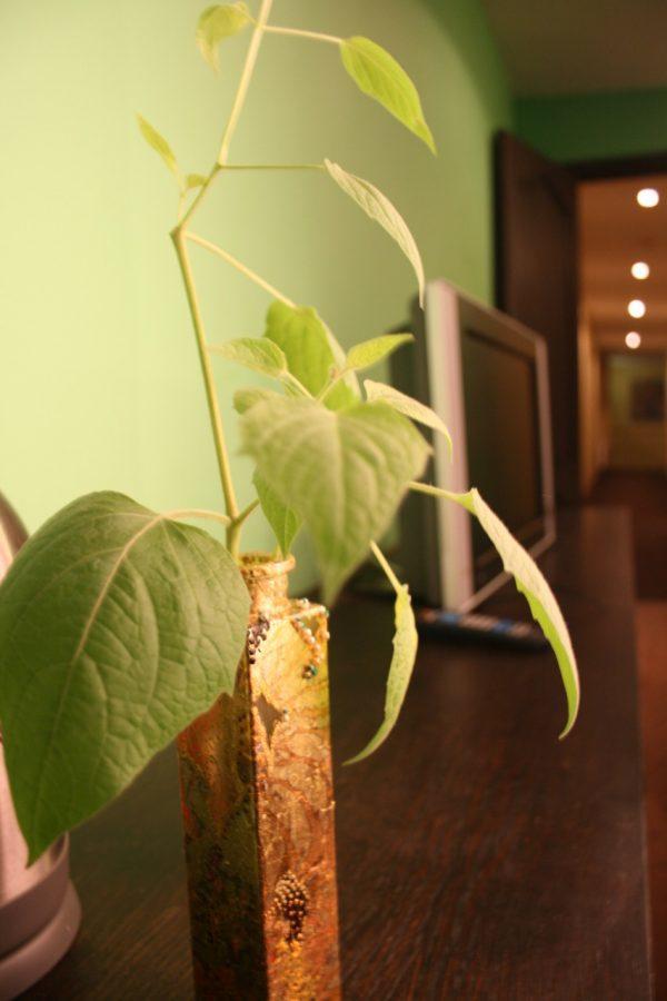 Hotel Evaline Riga Ngoại thất bức ảnh
